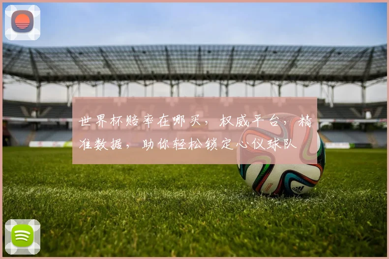 世界杯赔率在哪买，权威平台，精准数据，助你轻松锁定心仪球队