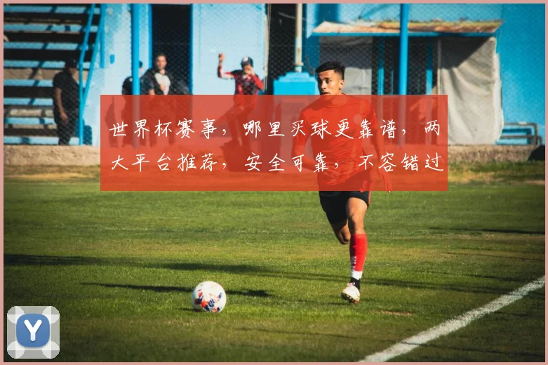 世界杯赛事，哪里买球更靠谱，两大平台推荐，安全可靠，不容错过，快来选择