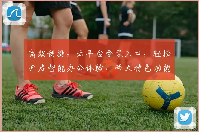 高效便捷，云平台登录入口，轻松开启智能办公体验，两大特色功能，不容错过