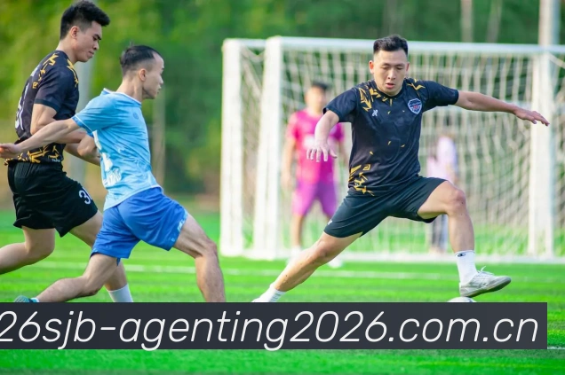 阿根廷世界杯2026夺冠概率品牌故事