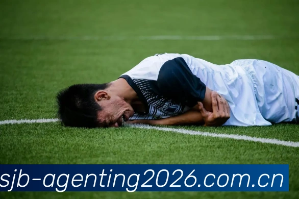 阿根廷世界杯2026夺冠概率服务体系